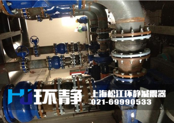 DN200<a href=http://m.hengshengfj.cn target=_blank class=infotextkey>橡膠軟接頭</a>安裝實(shí)圖